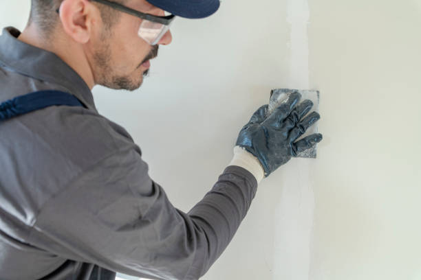Forensic Mold Investigation in Millcreek, UT
